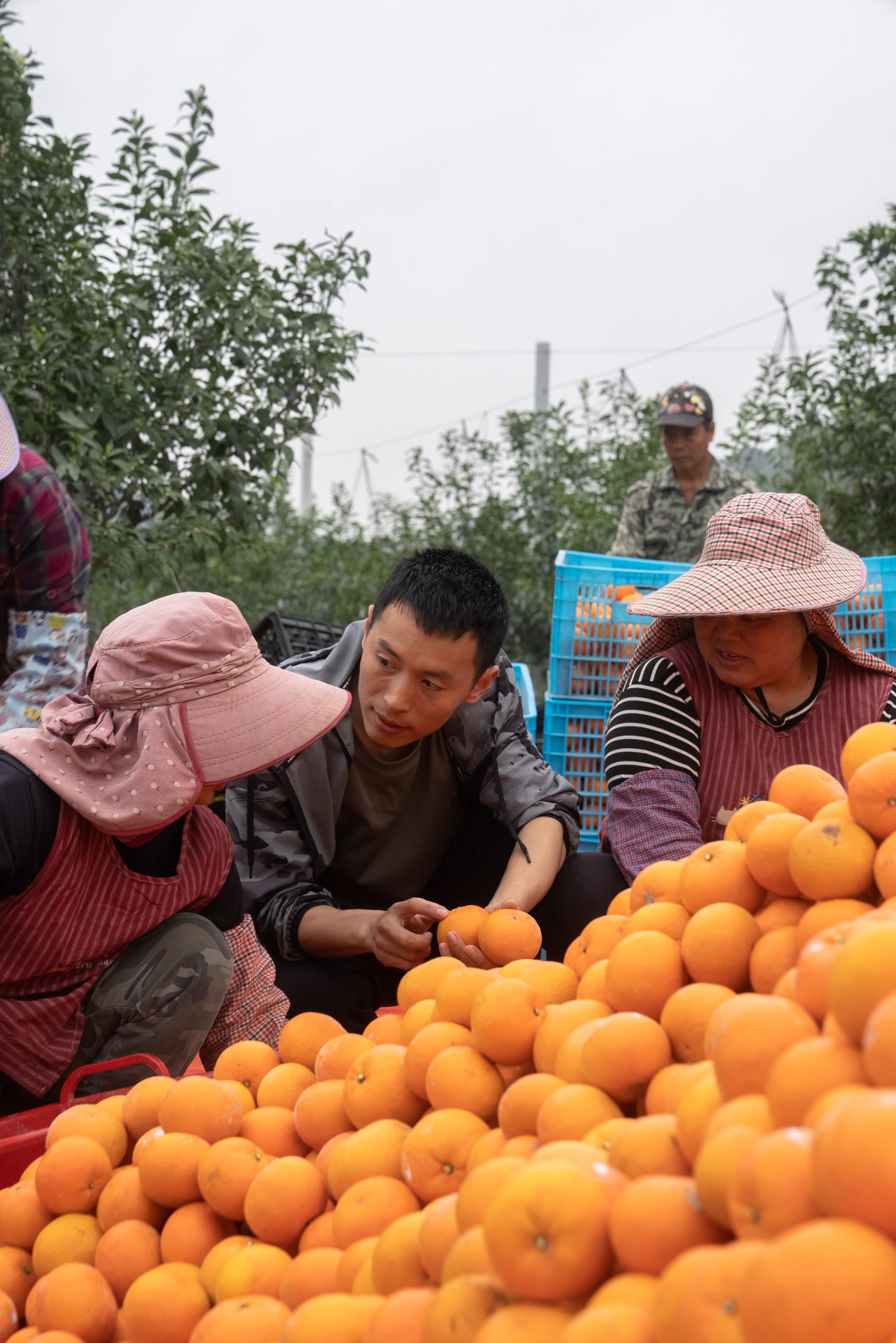 直播带货之后一直掉粉,直播带货心酸历程