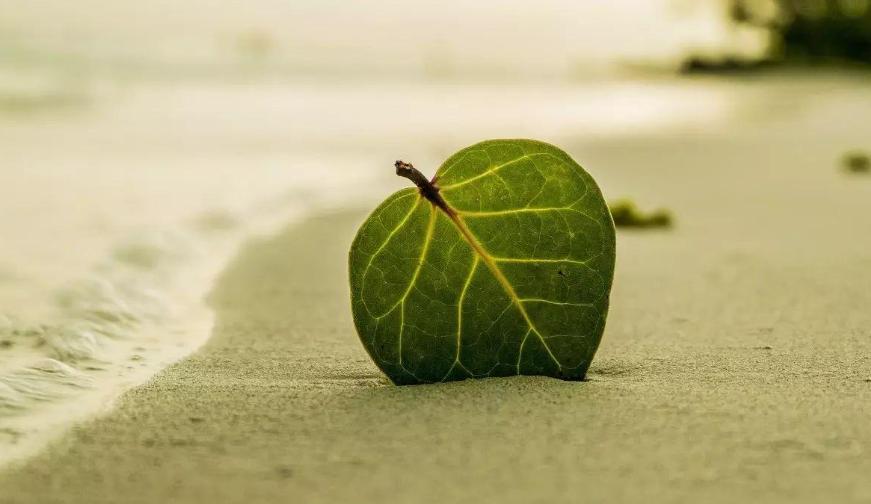 青少年学生自我价值感量表,青少年怎么实现自我价值