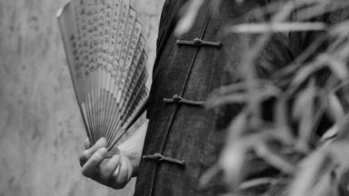 欧洲宫廷贵妇折扇,法国贵妇折扇