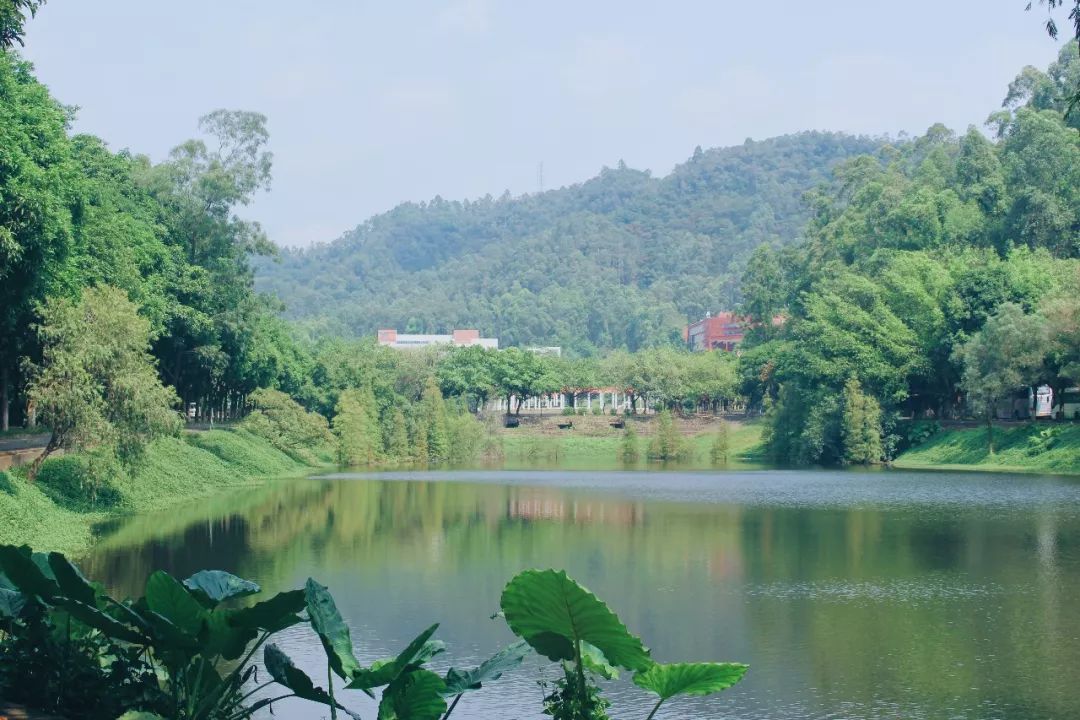 广东新增公办二本学院,广东省刚升公办本科的学校