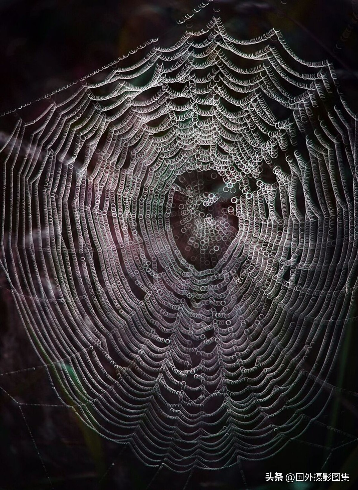 最美的景色秋天照片高清,夏天和秋天的绝美照片