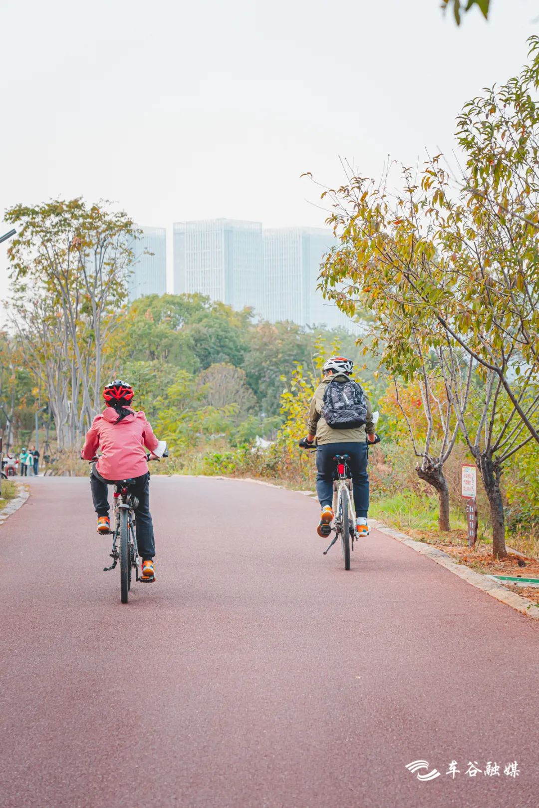 秋日暖阳骑行绿道,骑车绕城绿道值得打卡的推荐