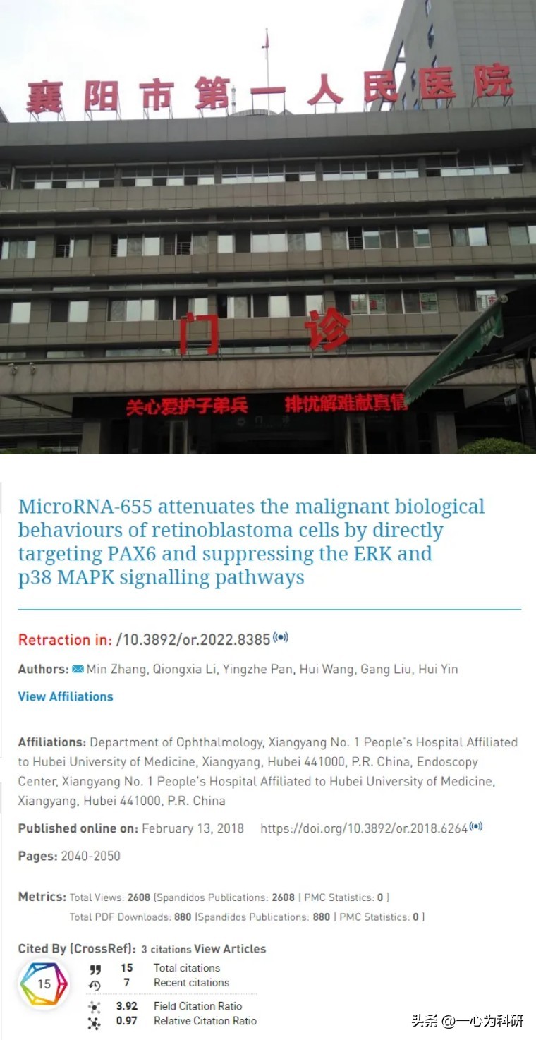 襄阳市第一人民医院2020,襄阳第一人民医院