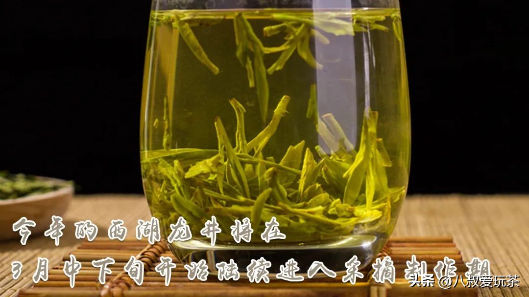 茶事带你了解正宗的西湖龙井,怎么识别正宗西湖龙井