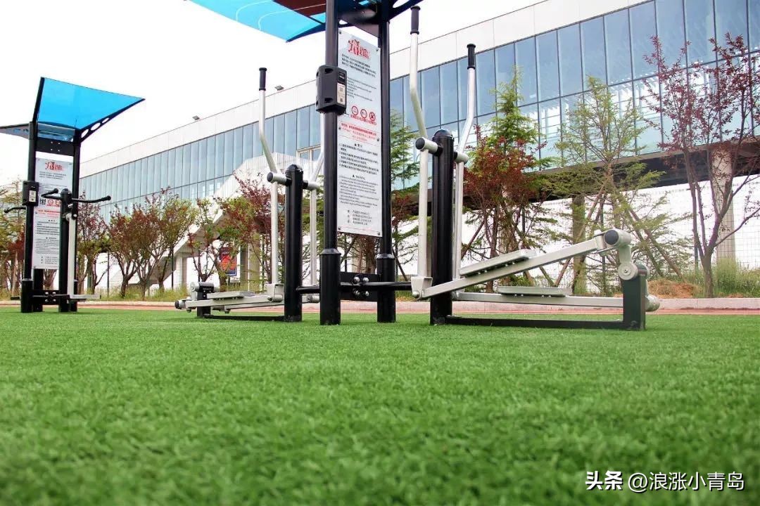 比肩卡塔尔！青岛这座“足球之城”，动起来了
