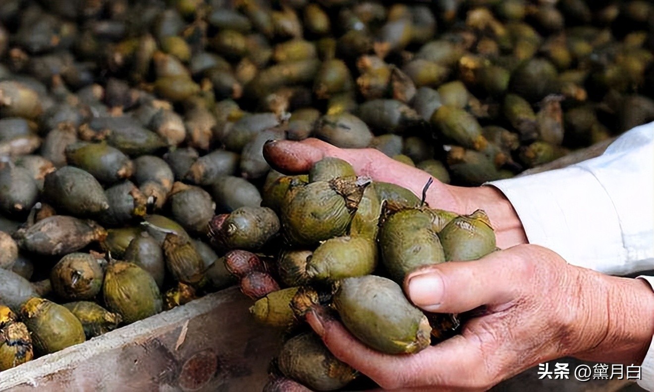 义乌永久下架槟榔，歌手傅松曾嚼槟榔6年患癌离世，生前脸部溃烂