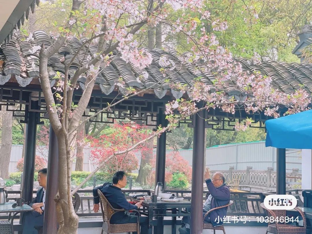 赏花有情调的餐厅推荐,虹口美食打卡