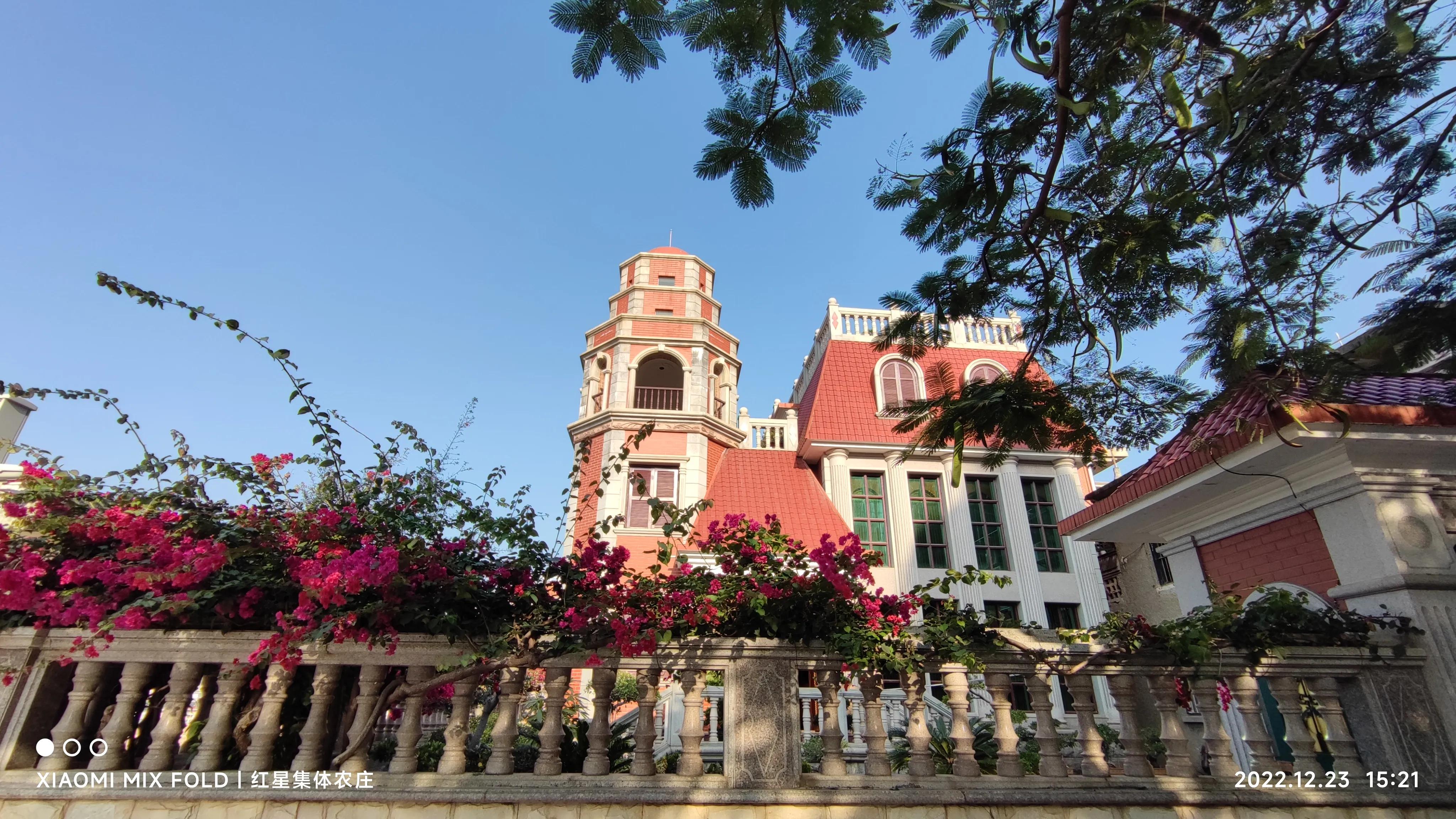 鏋彾鏄ョ鍘熷垱,鏋彾鏄ョ