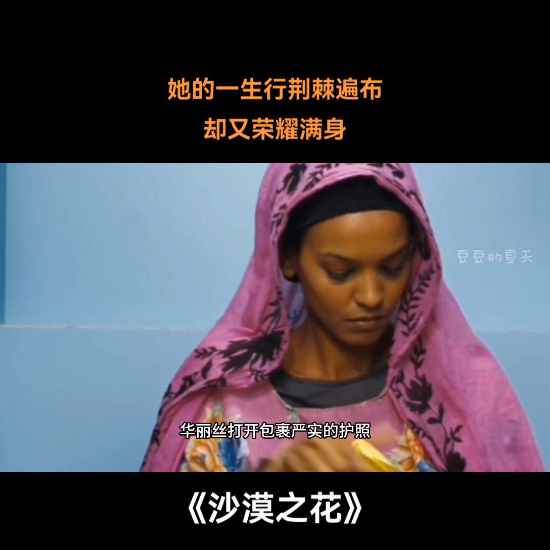 央视推荐四部励志纪录片,小学生看的励志电影纪录片