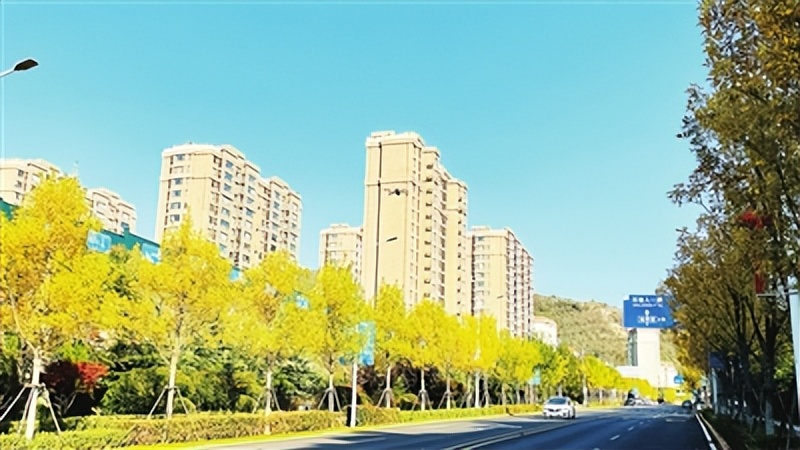 崂山玫瑰花海,崂山七色花海