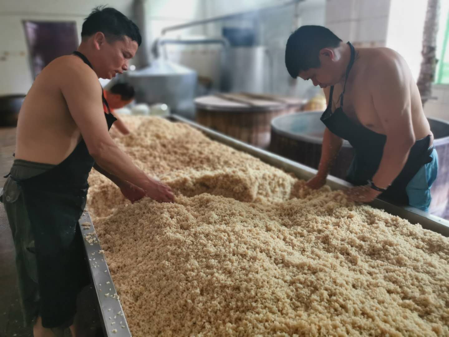 甜酒酿二次发酵成米酒注意事项,酿米酒的技术分享一下