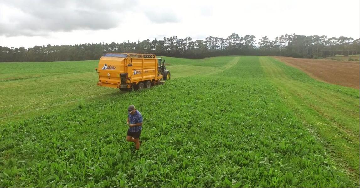 倍恩喜总部-新益美集团入围全球“2023全球直销企业100强榜单”