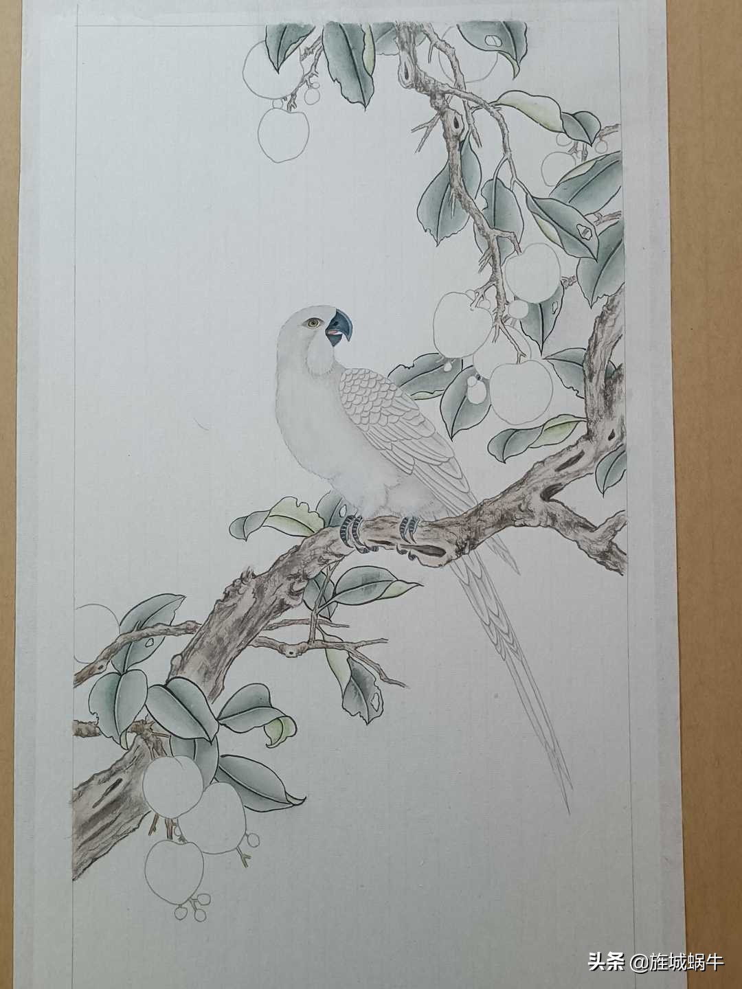 画者笔记|荔枝鹦鹉图绘制记录