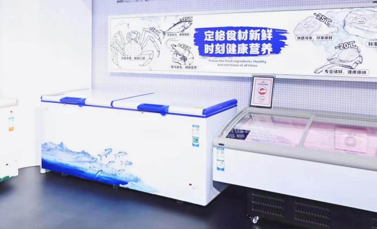 买海尔冷柜哪个渠道好,海尔囤货大冰箱