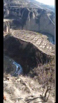 老鼠贴粘掉老鼠几个毛会死吗,老鼠贴粘到老鼠跑掉以后会死吗