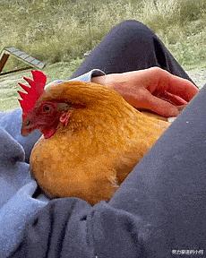 今天过来按脚，恰巧碰见了前女友，我该怎么化解尴尬呢？