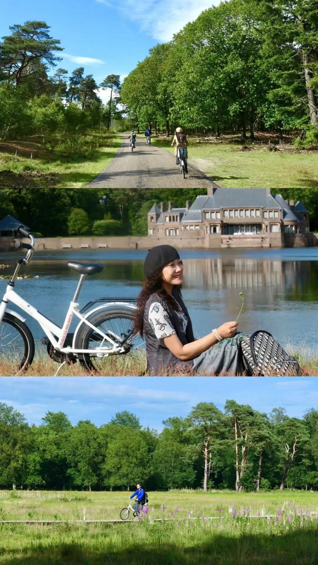 荷兰旅行自行车,荷兰骑自行车旅游