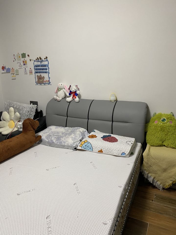 棕榈床垫和乳胶床垫哪种好,15岁适合棕榈垫子还是弹簧垫子