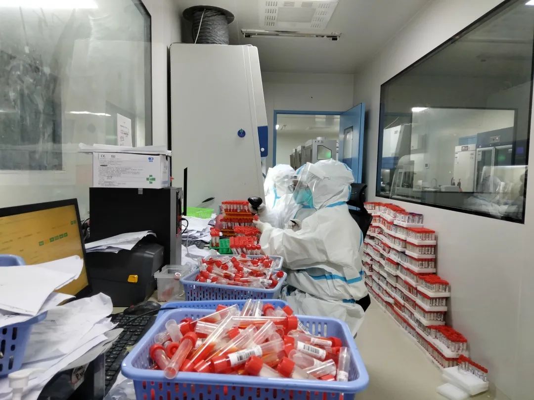 奥密克戎来袭,奥密克戎正在终结疫情