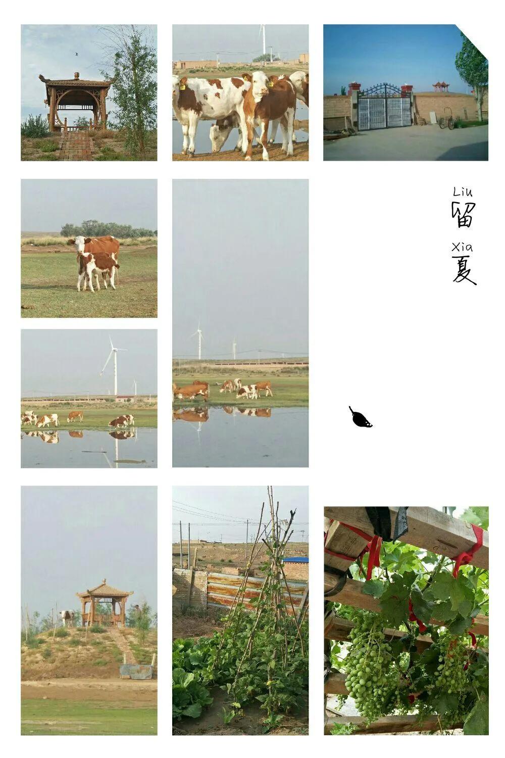 老屋老人回不去的乡愁,老屋回不去的童年