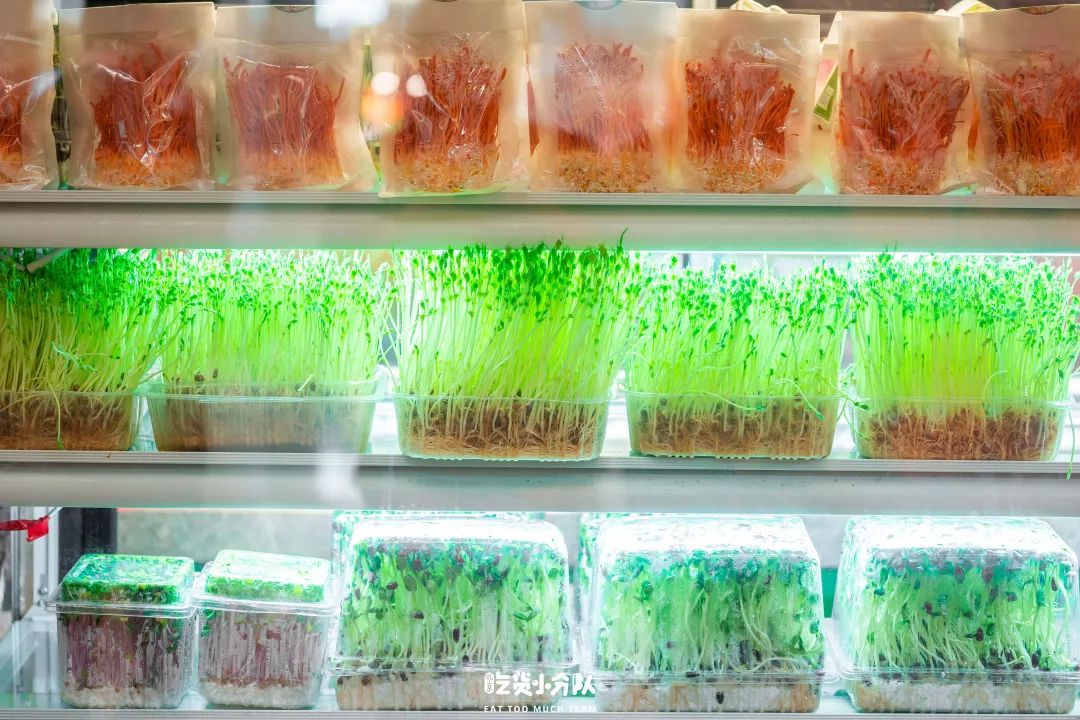 一直在等，北京终于也能吃上这个了