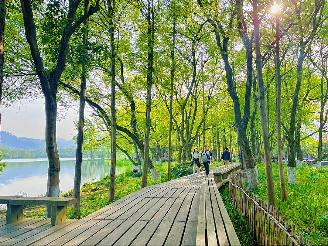 浙江十大徒步古道图片,浙皖十大古道景点介绍图