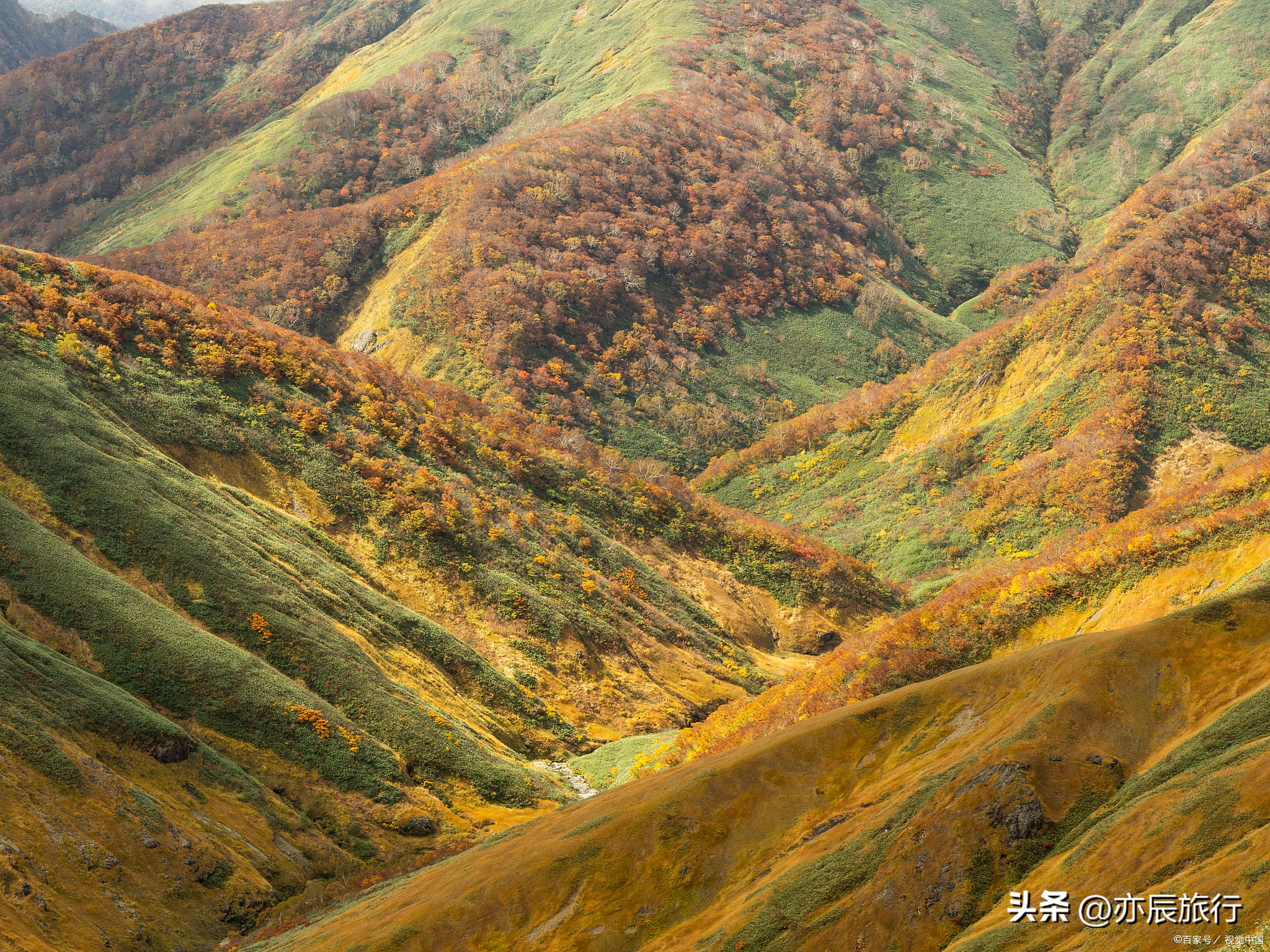 宁夏十一月旅游攻略图,宁夏周末旅游推荐地点最新