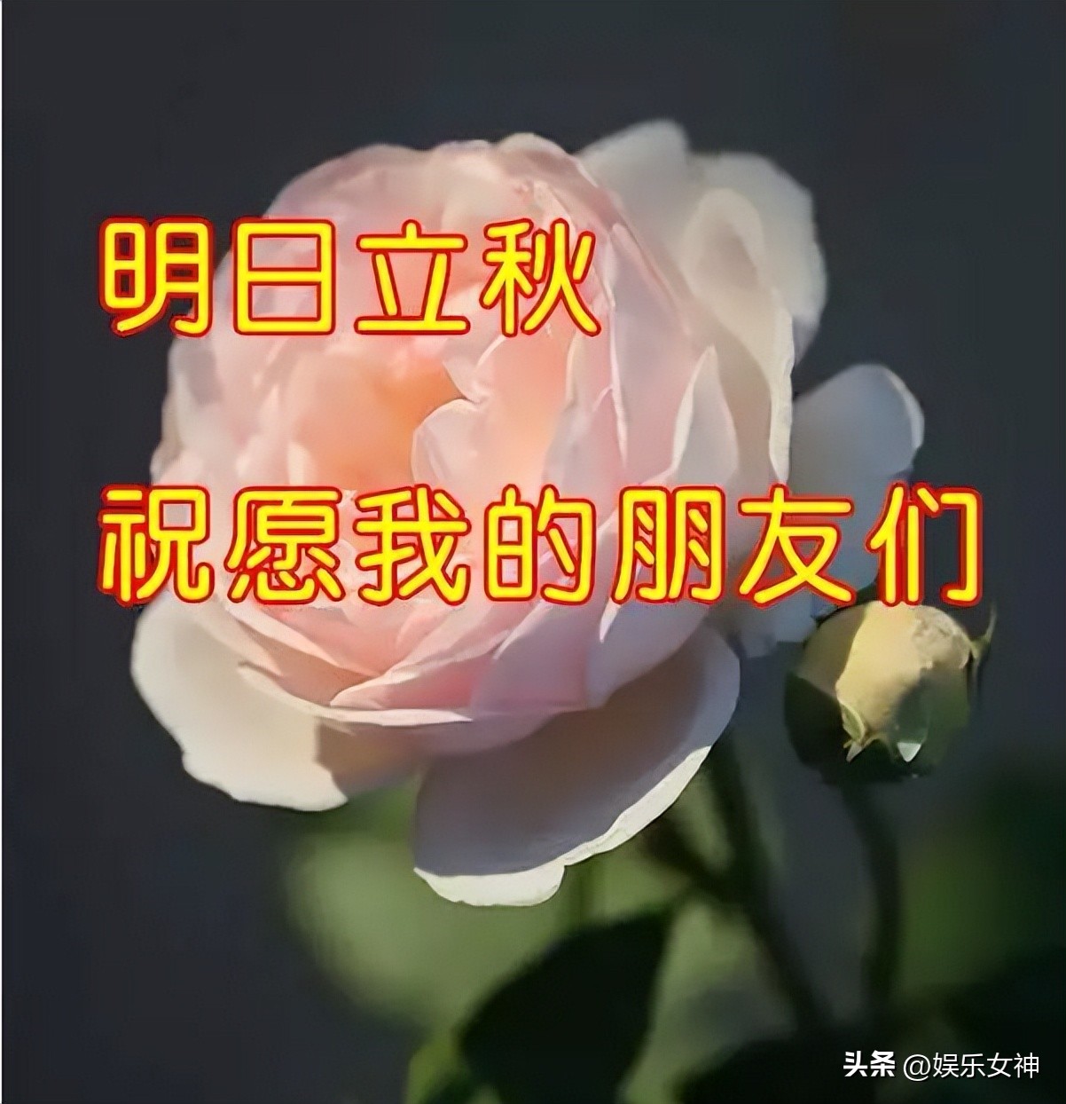 立秋早上好表情大全,最新立秋表情包可爱图片