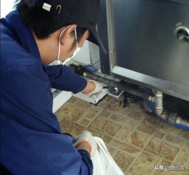 蟑螂的外号小强,蟑螂为什么不能踩死它