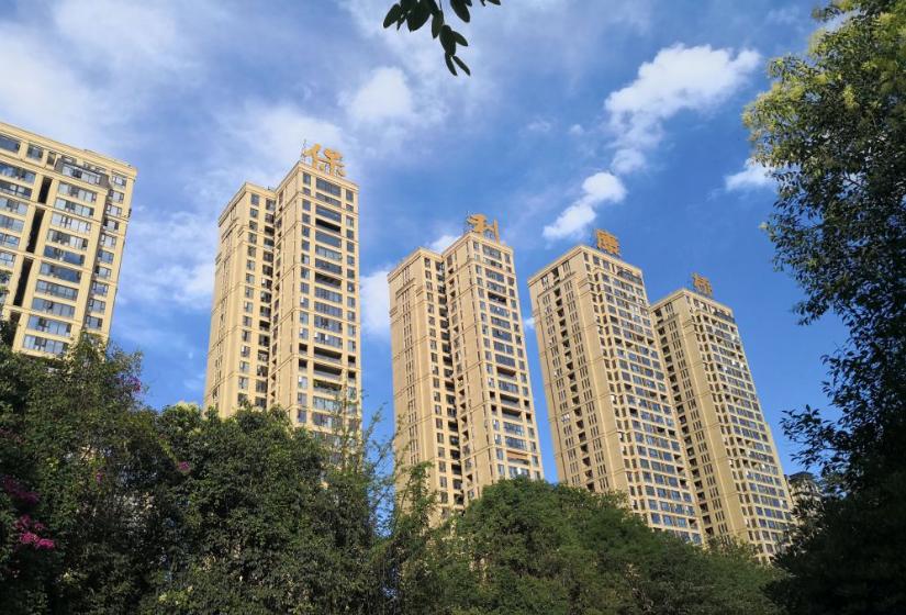 名校名企联手打造区域教育新高地,打造比肩东西海的教育强区