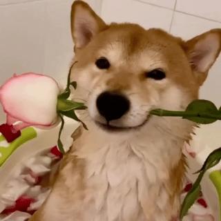 中年男人的微信昵称好听又霸气,2022年中年男士微信昵称