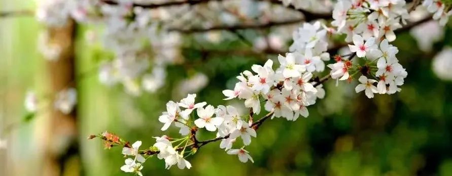 北京自然博物馆老年人免票吗,北京自然博物馆五一