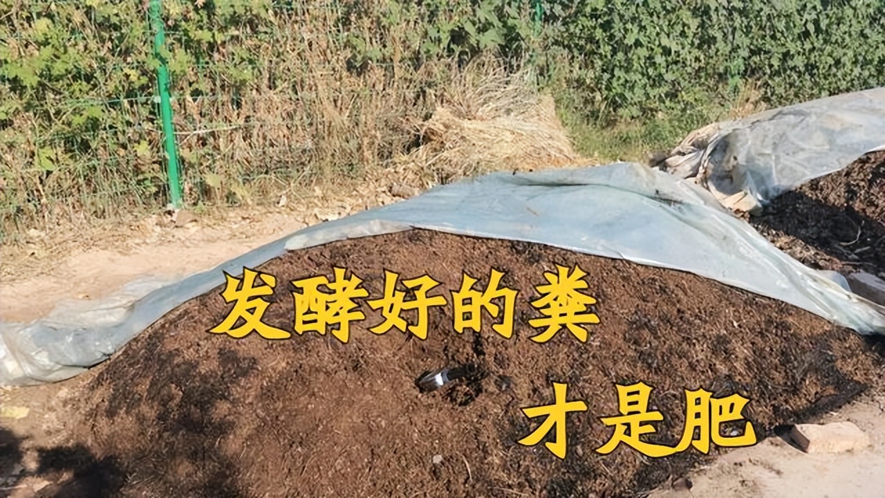 粪是不是氮肥,粪和肥料有什么区别