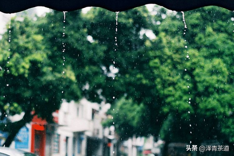 写春天的著名唐诗宋词加赏析,100首关于春天的唐诗宋词