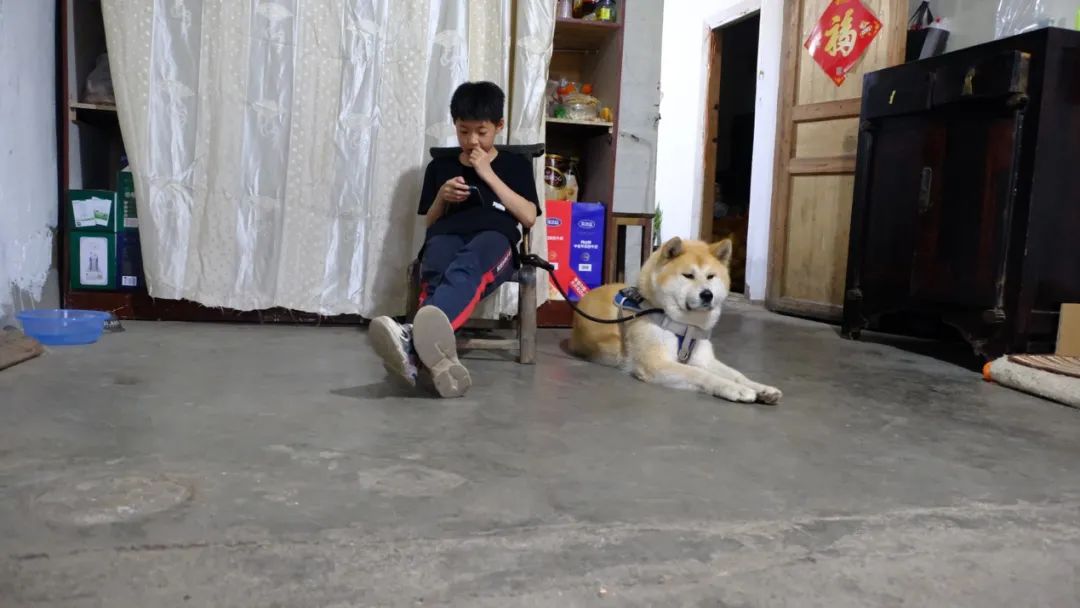 相聚仍是青年——记情系四中群友聚