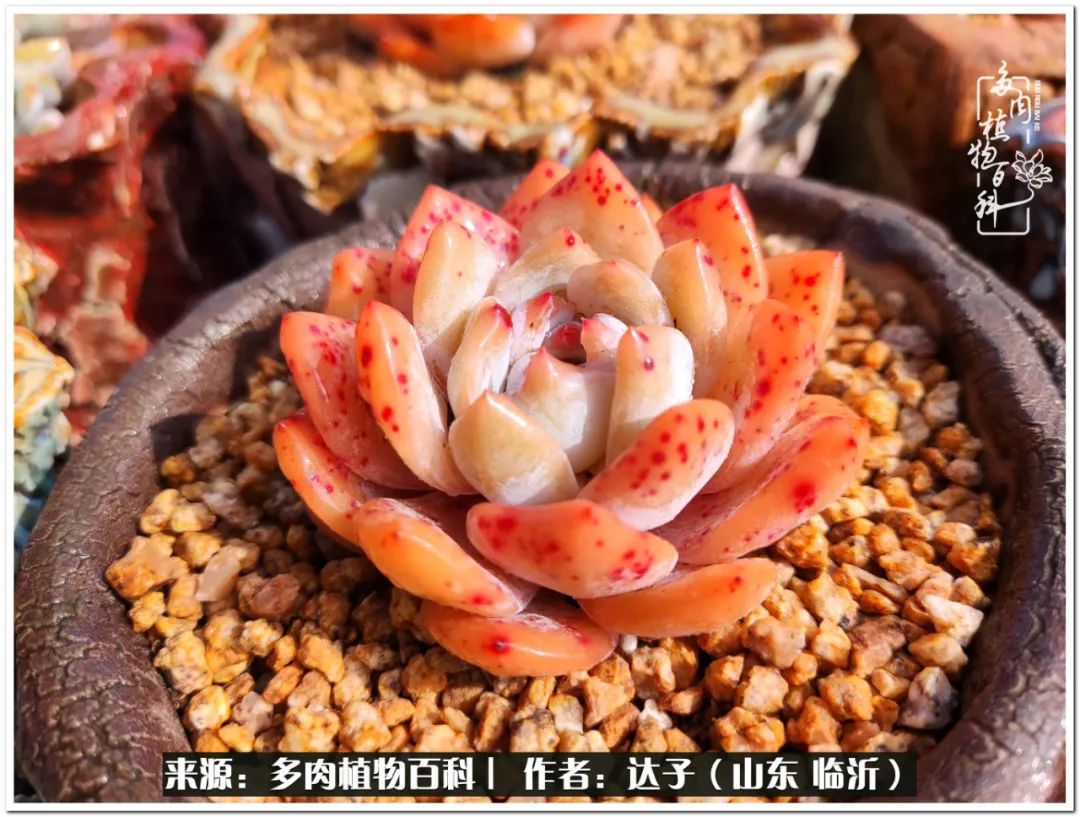 活在当下珍惜眼前平凡的生活,活在当下感慨万千