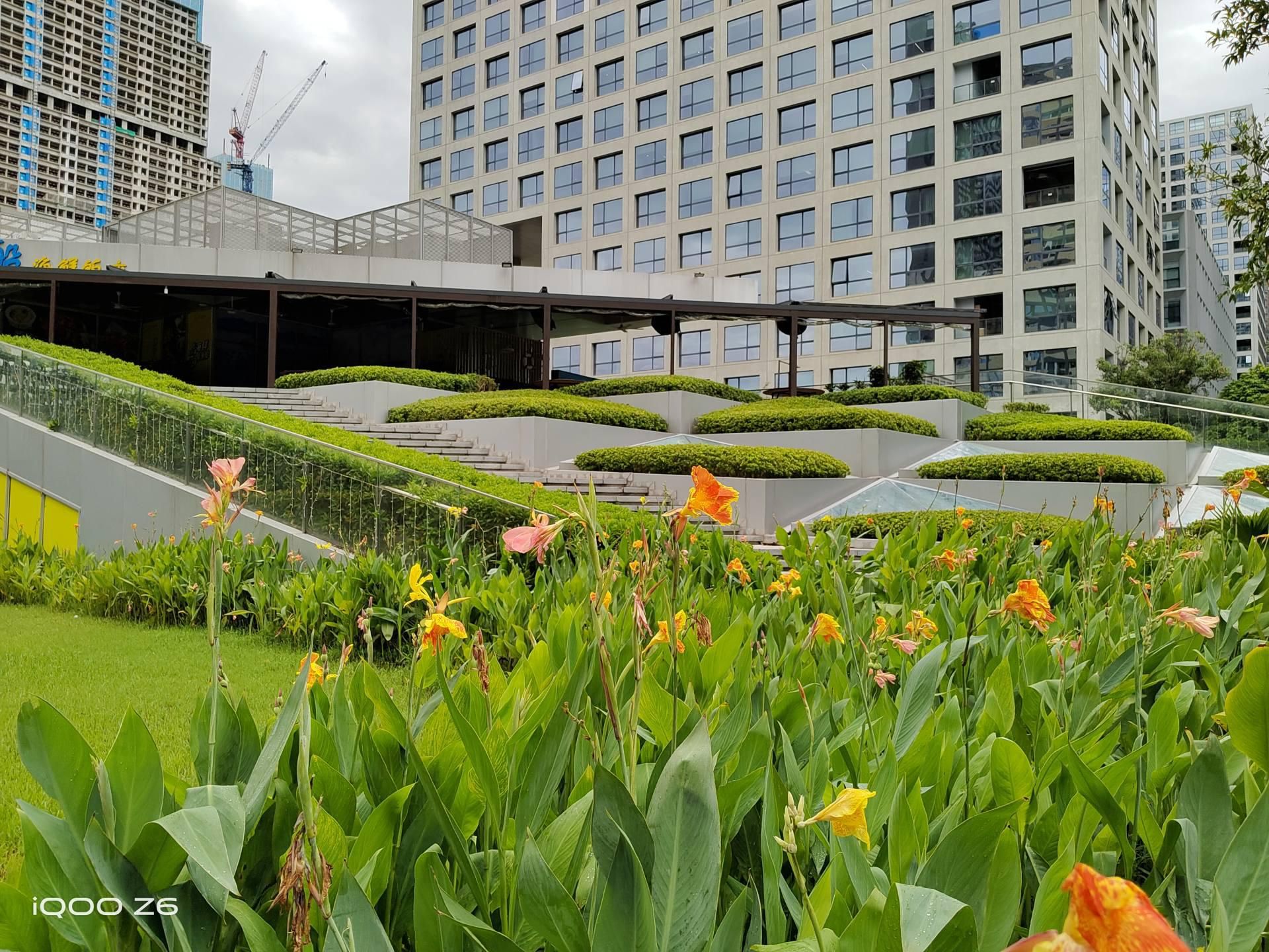 拍照好续航强的千元机,iqooz6手机优缺点