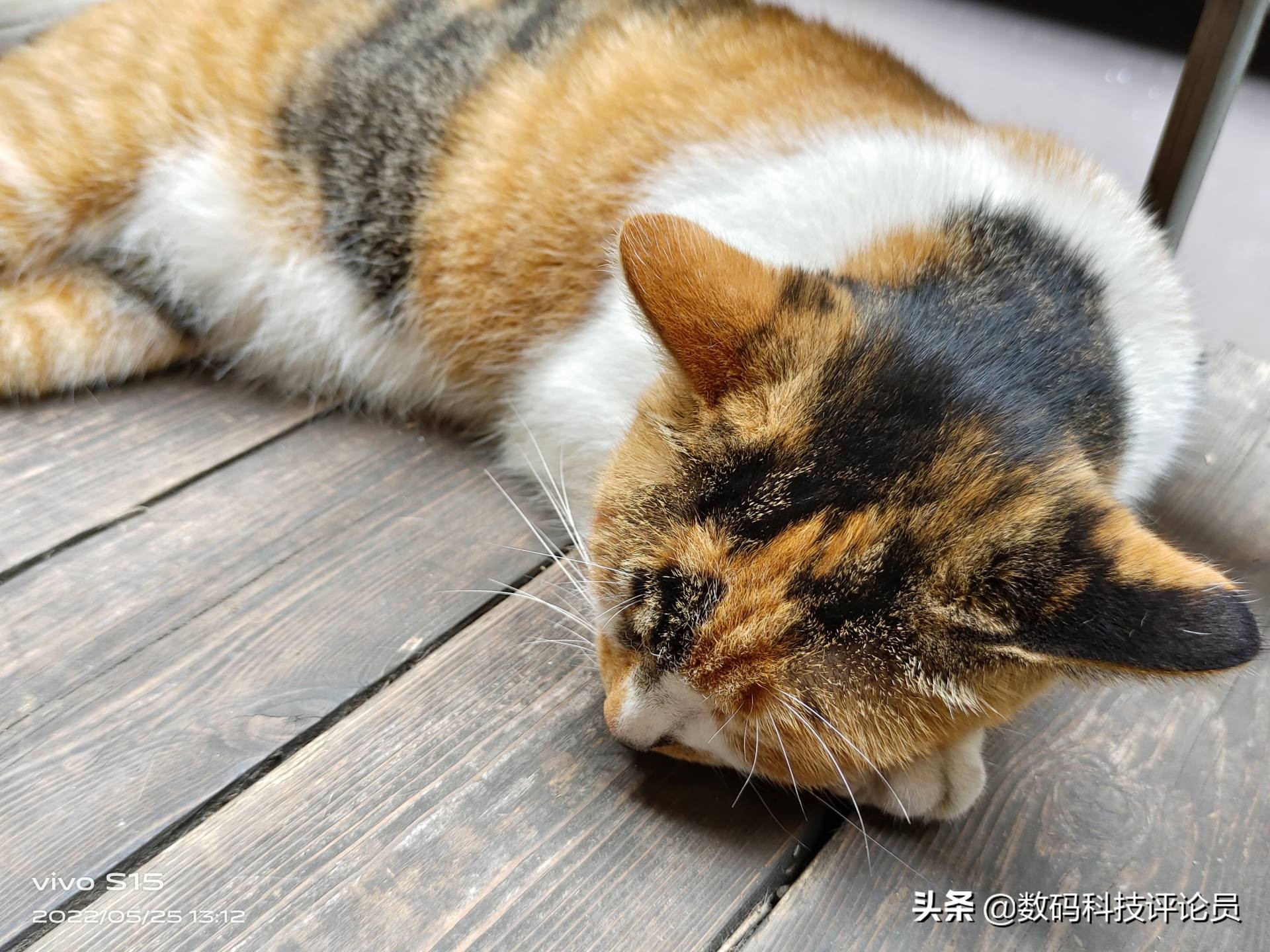 vivos15是用的骁龙870巅峰版吗,vivos15骁龙870巅峰版与普通版