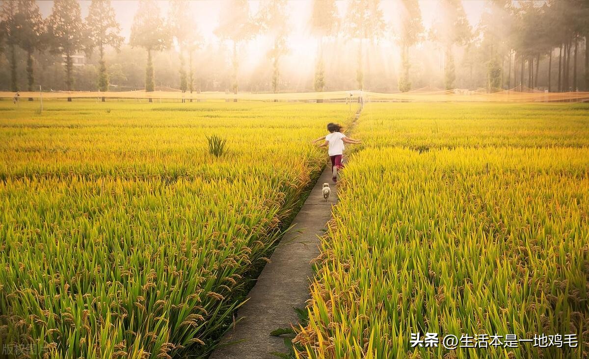 老公经常赌博婚姻还能继续吗,老公赌博婚姻还有必要继续吗