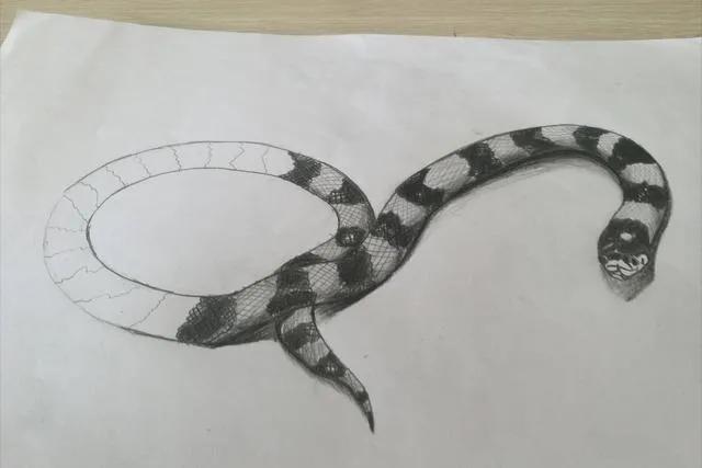 菜花蛇被称为“百蛇之王”,菜花蛇和菜花蛇王的区别