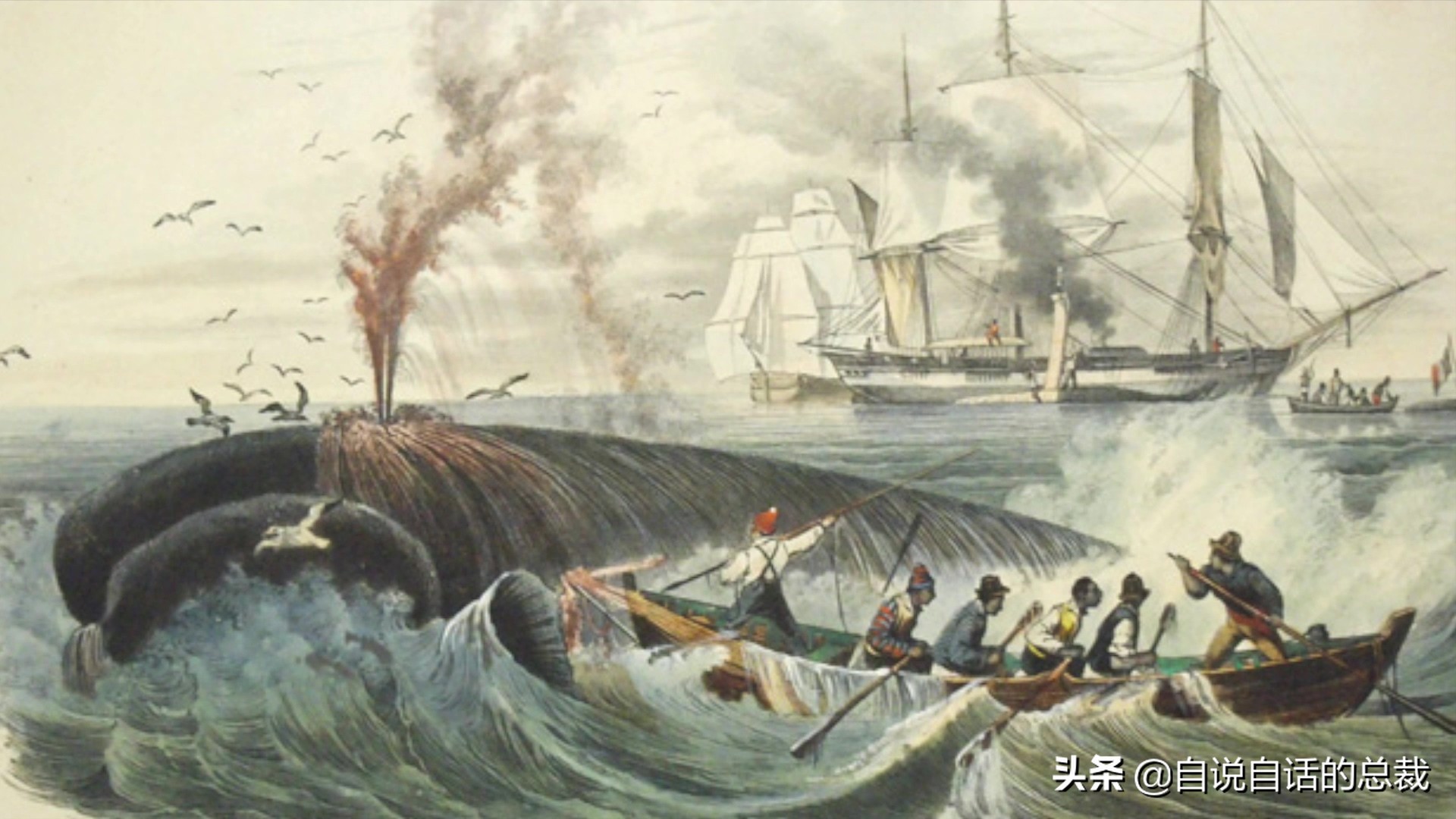 秦始皇陵考古历程资料,秦始皇陵兵马俑考古新发现