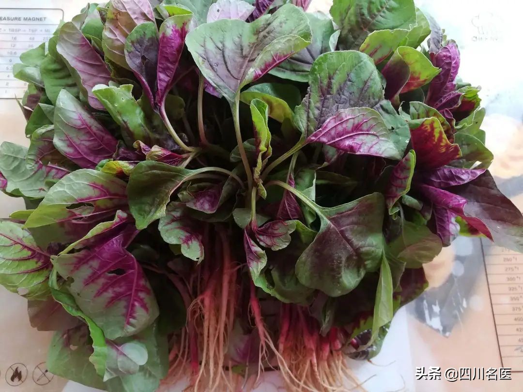 钙比牛奶还高的5种蔬菜,牛奶和青菜哪个补钙效果更好