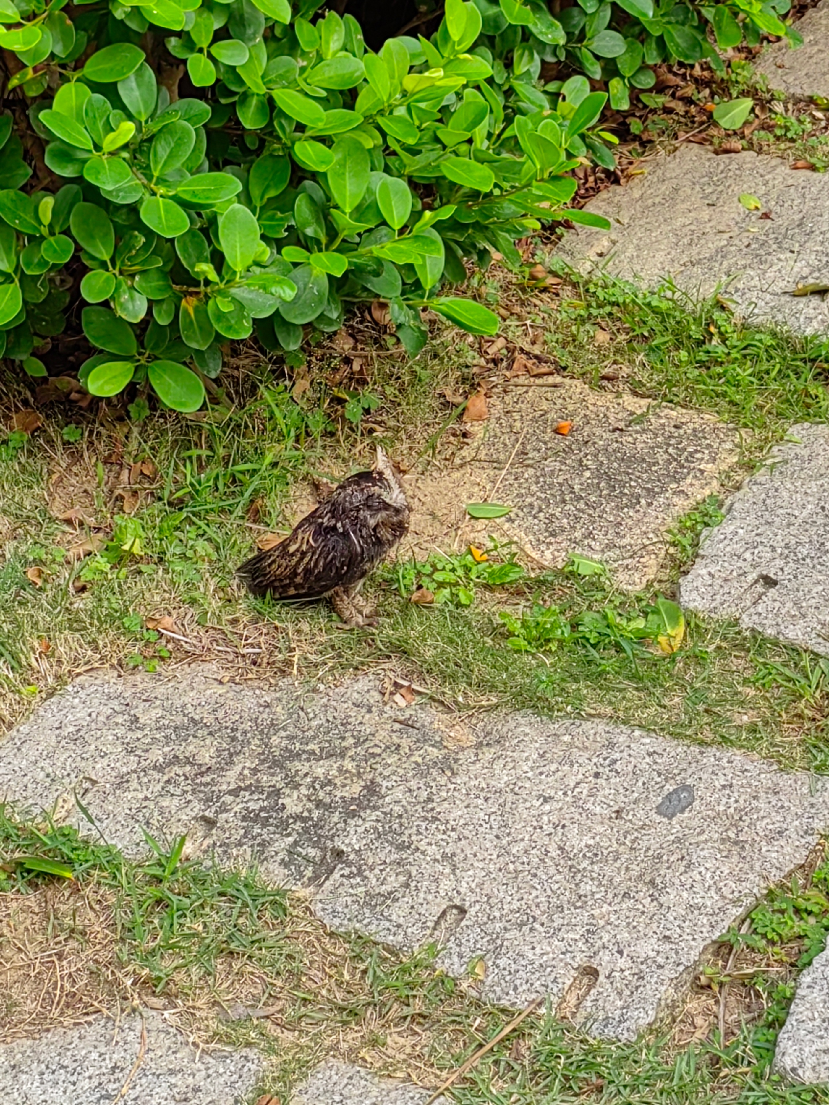 海南自驾环岛游攻略三亚出发,成都自驾海南环岛攻略路线