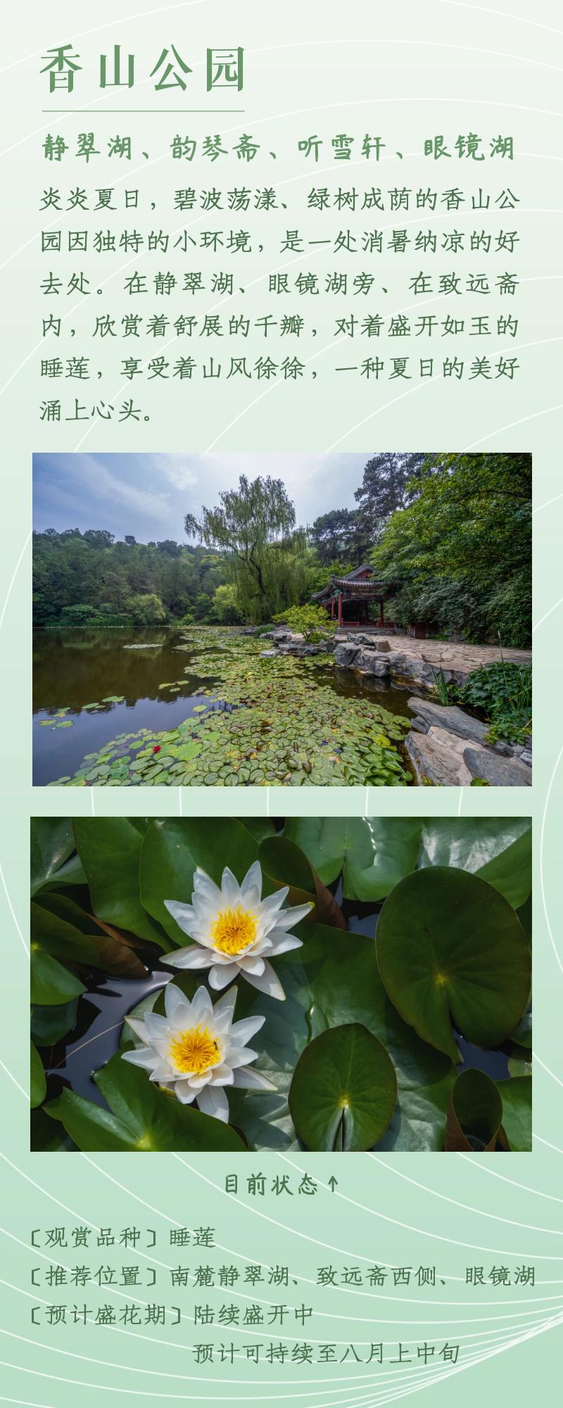 北京赏荷花最佳地点,北京赏荷花的公园