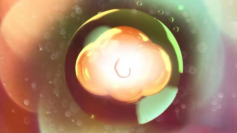 忽悠女大学生卖“卵子”的黑中介到底有多坑?妇产科医生揭露*局骗**