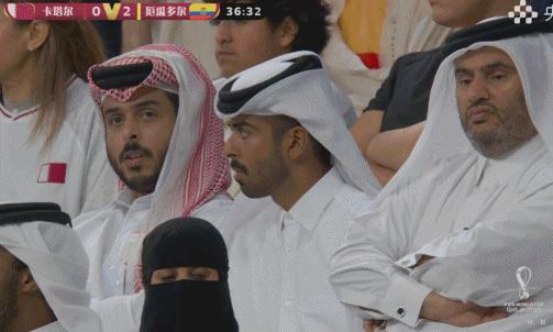 看世界杯各种段子大全,看世界杯感慨