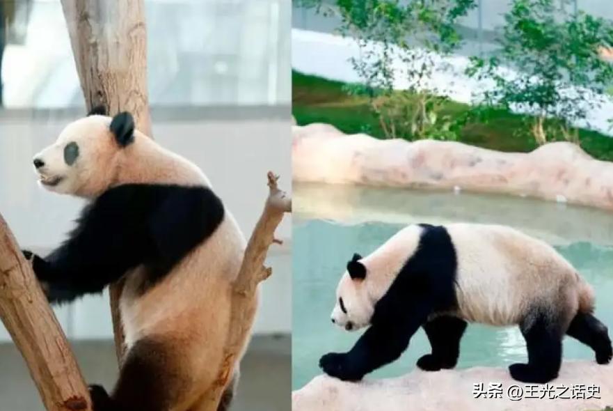 卡塔尔世界杯卡塔尔赚了多少钱,卡塔尔世界杯赚了多少钱