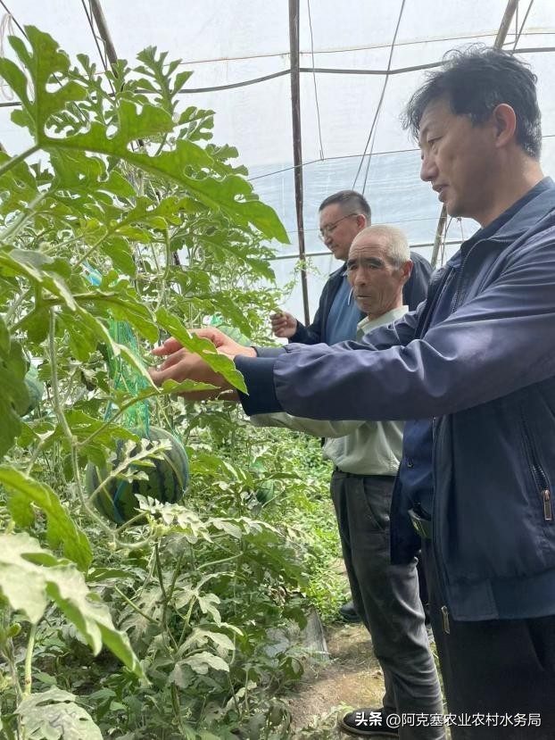 农机中心三抓三促行动方案,落实三抓三促推动基层农技推广