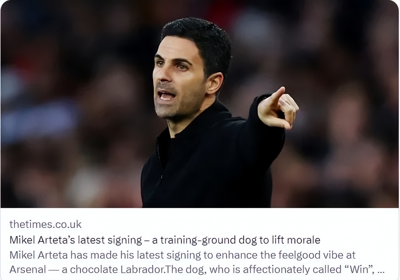 赖斯阿森纳利物浦,赖斯23-24赛季阿森纳成就