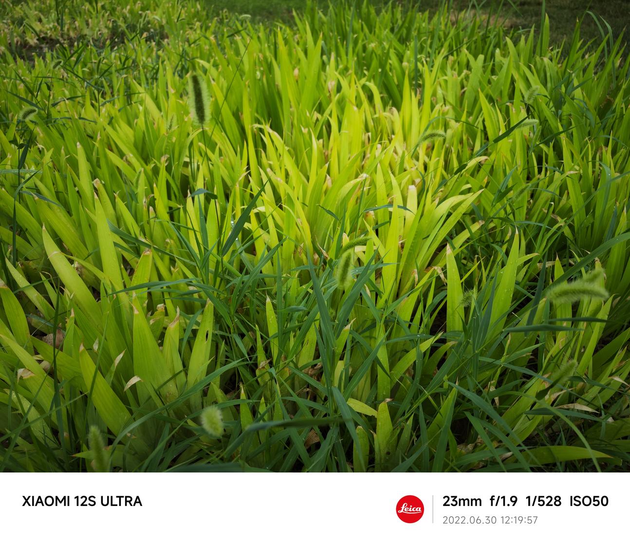 小米12sultra评测首发,小米12sultra影像测评最新